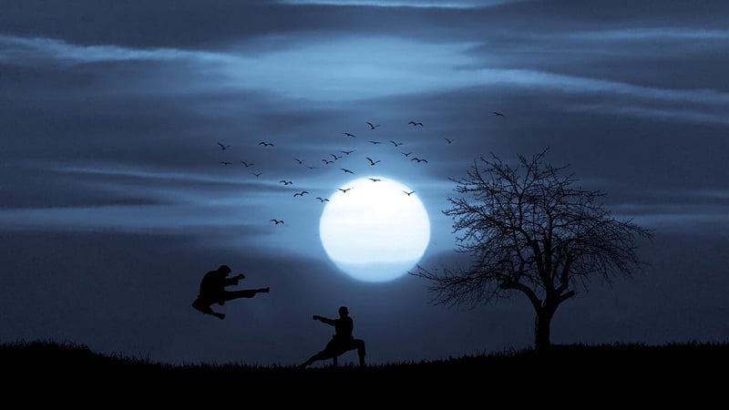 Chen Style Tai Chi